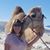 Sheri Meiners Bartlett's profile image