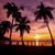 Janet Cicatiello's profile image