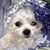 Rhonda Nelson's profile image