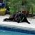 Kelly M. Yoshimura's profile image