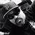 Rigo Perez's profile image