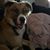 Cary Granstrom's profile image