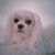 BA Liocano's profile image