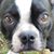 Liz Nelson's profile image