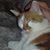 Debbie Rosander Snider's profile image