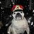 Ottis Stewart's profile image