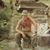 Gene Anderson's profile image