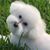 Joyce Hayes Clements's profile image