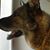 Vickie Palmer's profile image