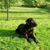 Lisa Lozinsky Jones's profile image