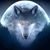 Wayne Ashfield's profile image