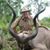 Bill Kerr's profile image