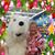 Diane Oravec's profile image
