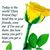 Sandy Suhar Parker's profile image
