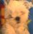 Karen Verbryck's profile image