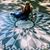 Lisa Miller's profile image