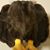 Edgar Olac's profile image