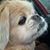 Renee Casper's profile image