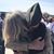McKenzie De Graff's profile image