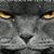 Beth Lampman's profile image
