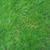 Puma Cabrera's profile image