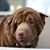 Gregory Curtis's profile image