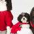 Shirley Stagg's profile image