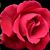 Jennifer Fong's profile image