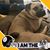 James C. Davis's profile image