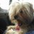Stephanie Gunsch's profile image