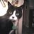 Velena Waddell's profile image