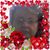 Lisa Seller's profile image