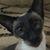 Buddy Schrack's profile image