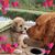 Sally Johnson's profile image