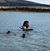 Missy Silbaugh's profile image