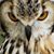 Dawn Parsons's profile image
