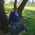 Caley Smith's profile image