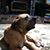 Christine Fortier's profile image