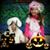 Kristi Davis's profile image
