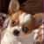 Rebecca Dougherty's profile image