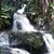 Sherry Stevens Rentmeesters's profile image
