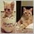 Leah Failla's profile image
