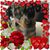 Christine Borchers's profile image