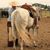 Torin Hanel's profile image
