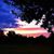 Vicki Lipscomb Fus's profile image
