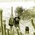 Lynn N Michael Michaud's profile image