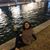 Morena Diaz's profile image
