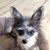 Eileen Bernhoft's profile image
