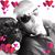 Roberto Antonelli's profile image