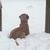 Dana McMullan Bradley's profile image